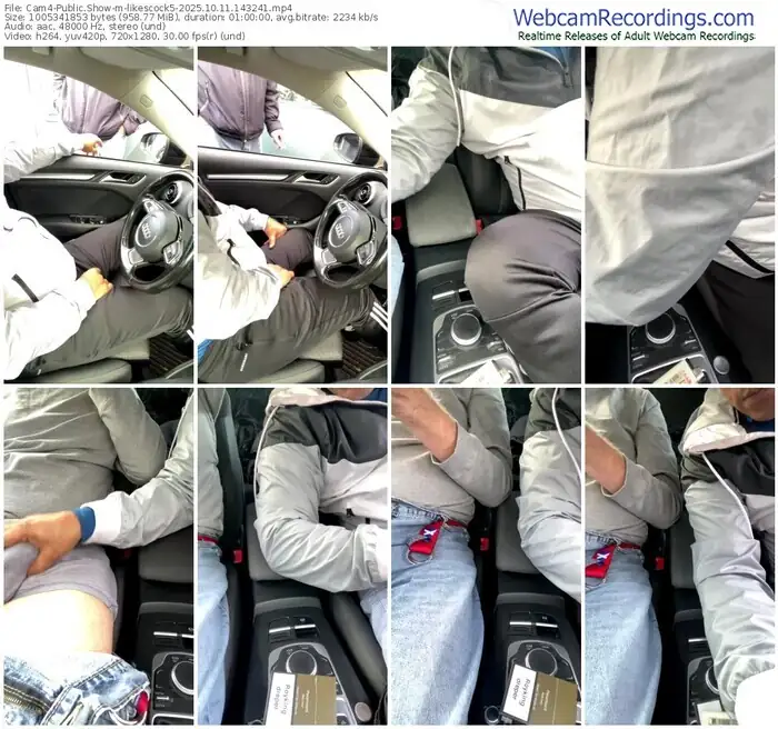 2025/10/11/cam4-likescock5-14-32-41