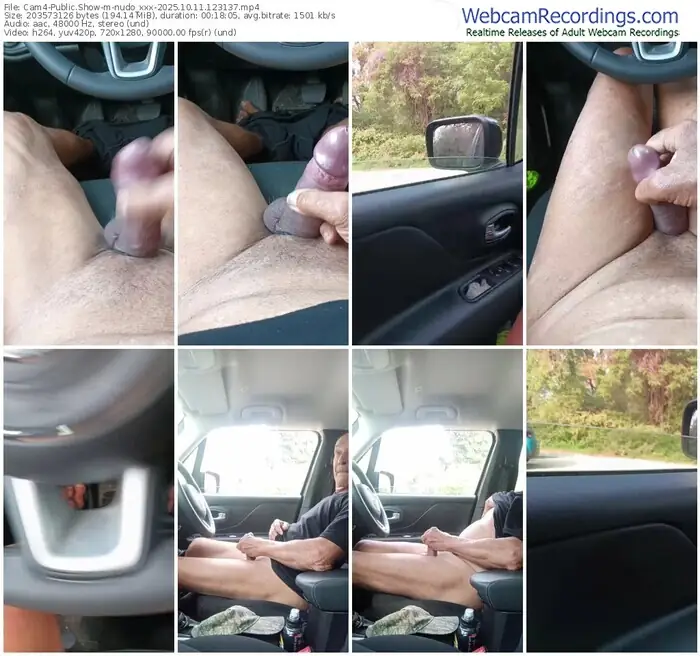 2025/10/11/cam4-nudo_xxx-12-31-37