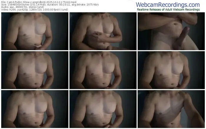 2025/10/12/cam4-angridbird-17-51-42