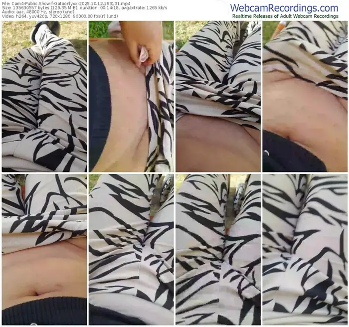 2025/10/12/cam4-gataonlyxx-19-31-31