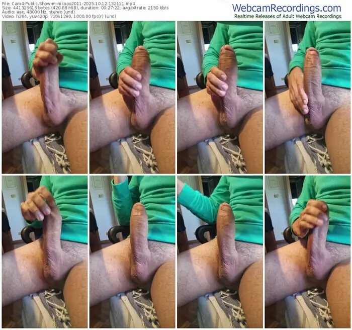 2025/10/12/cam4-nicooo2011-13-21-11