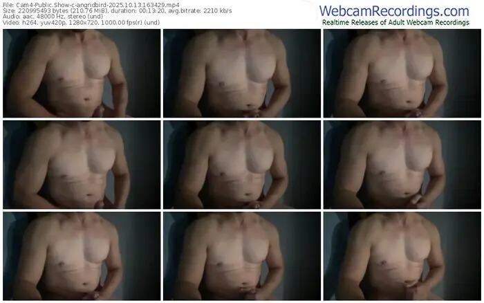 2025/10/13/cam4-angridbird-16-34-29