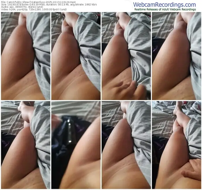 2025/10/13/cam4-gataonlyxx-11-01-24