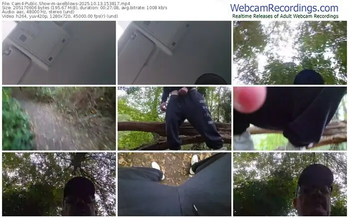 2025/10/13/cam4-axelblows-15-38-17