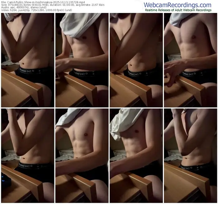 2025/10/13/cam4-hoshinoakua-13-57-28