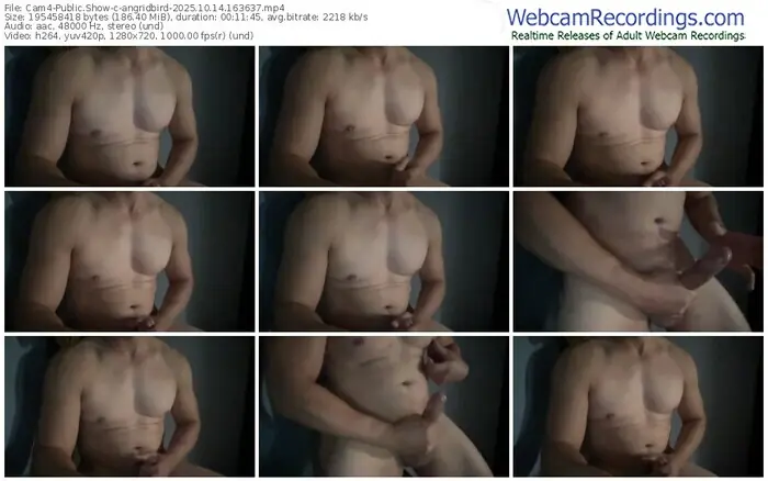 2025/10/14/cam4-angridbird-16-36-37