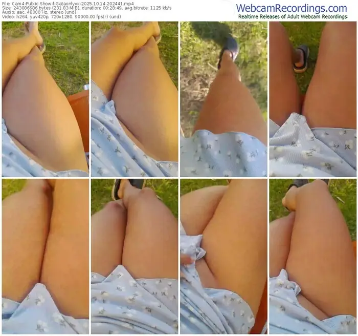 2025/10/14/cam4-gataonlyxx-20-24-41