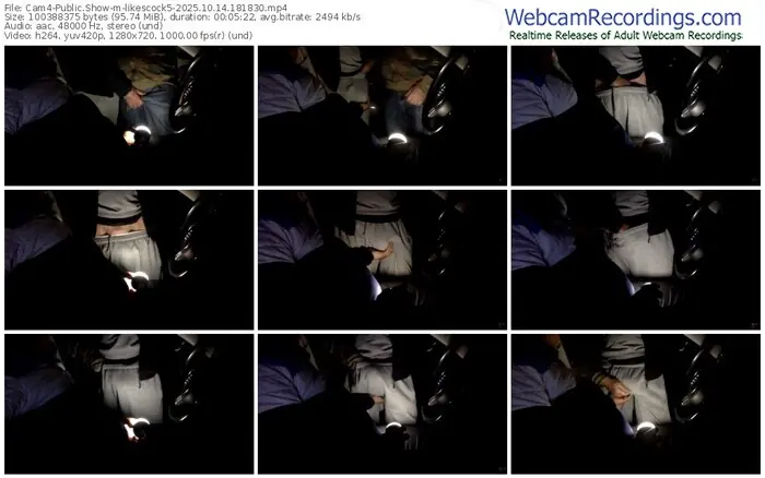 2025/10/14/cam4-likescock5-18-18-30