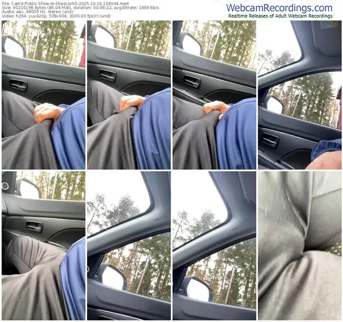 2025/10/16/cam4-likescock5-10-40-44