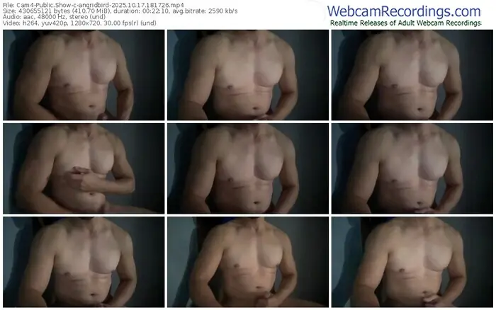 2025/10/17/cam4-angridbird-18-17-26