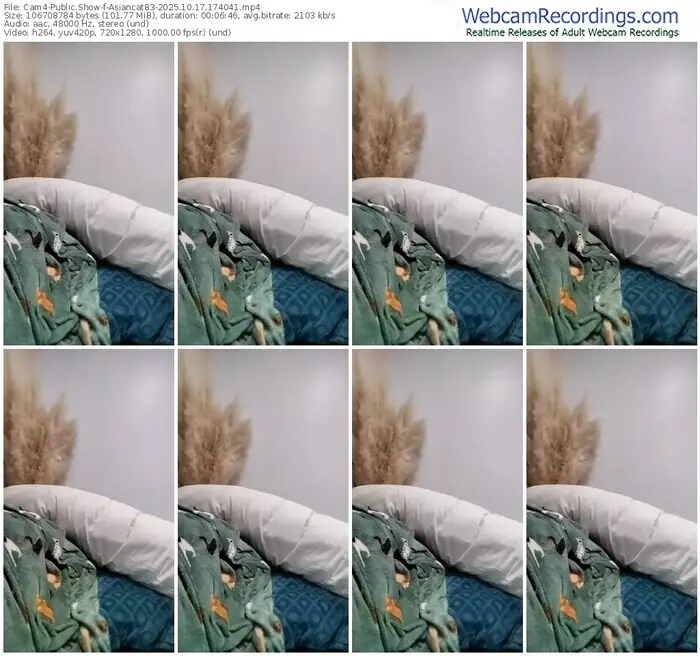 2025/10/17/cam4-asiancat83-17-40-41