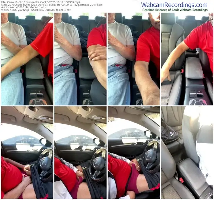 2025/10/17/cam4-likescock5-13-33-59