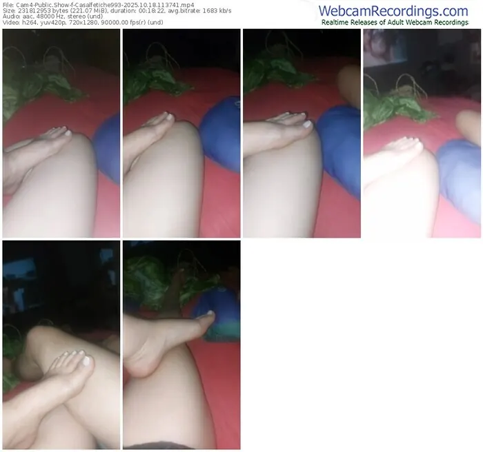 2025/10/18/cam4-casalfetiche993-11-37-41