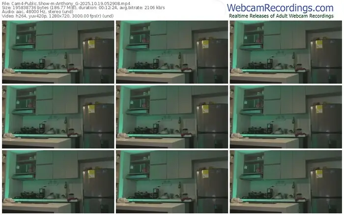 2025/10/19/cam4-anthony_g-05-29-08