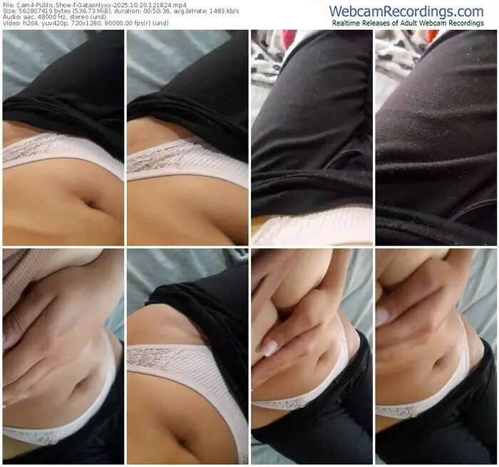 2025/10/20/cam4-gataonlyxx-12-18-24