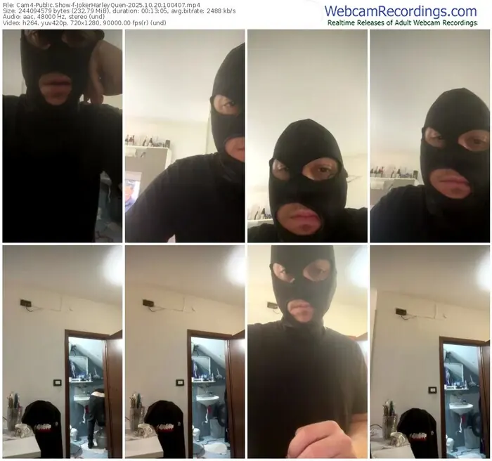 2025/10/20/cam4-jokerharleyquen-10-04-07