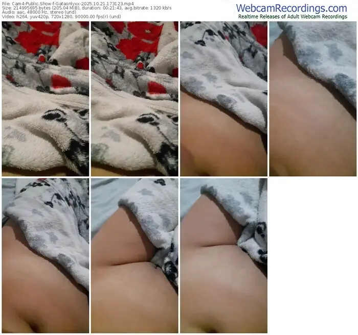 2025/10/21/cam4-gataonlyxx-17-31-23