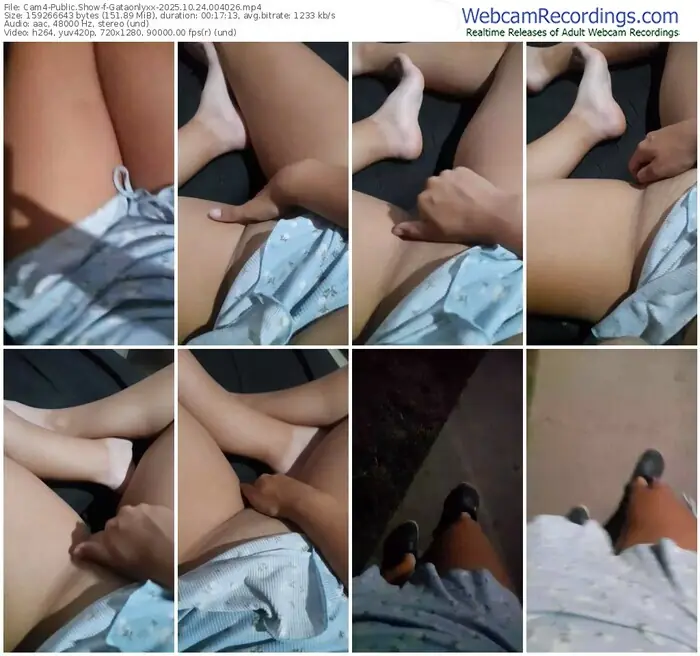 2025/10/24/cam4-gataonlyxx-00-40-26