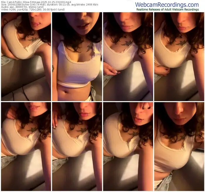 2025/10/25/cam4-mmaai-23-10-00