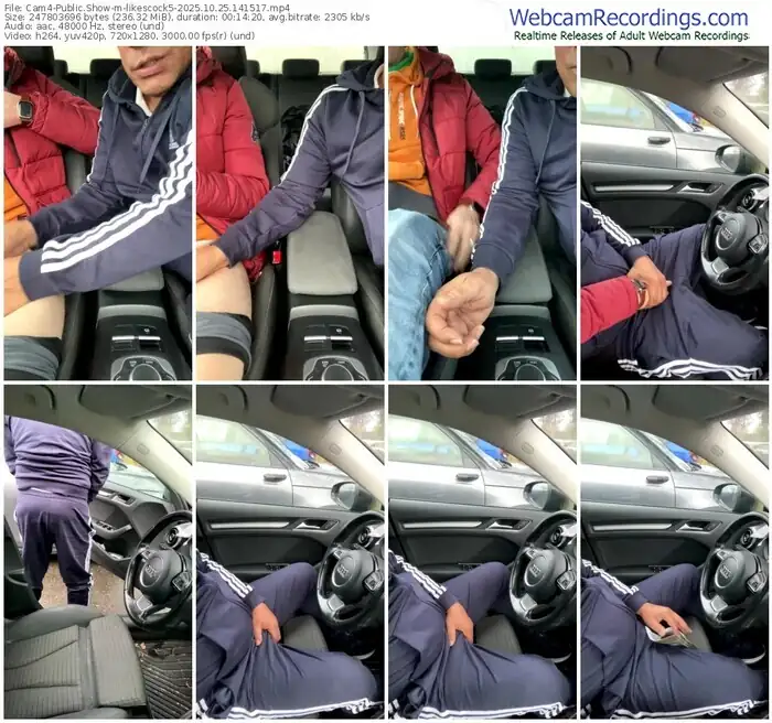 2025/10/25/cam4-likescock5-14-15-17