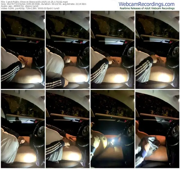 2025/10/25/cam4-likescock5-17-32-32