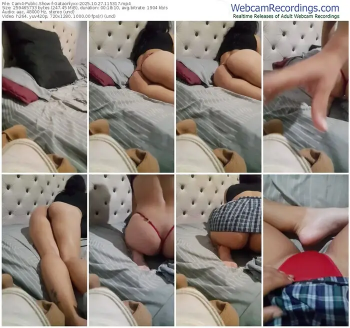 2025/10/27/cam4-gataonlyxx-11-53-17