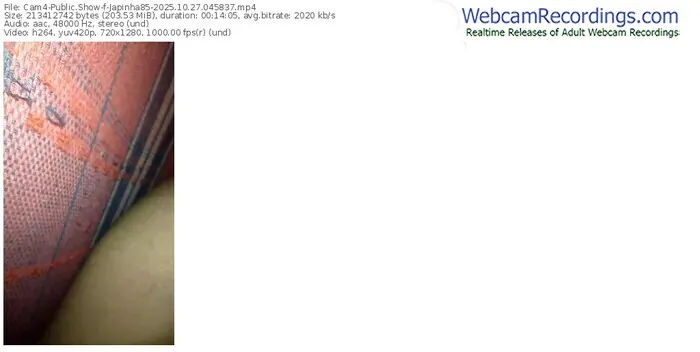 2025/10/27/cam4-japinha85-04-58-37
