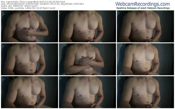 2025/10/28/cam4-angridbird-16-15-03