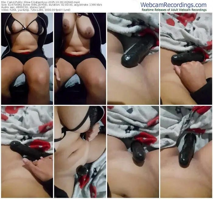 2025/10/28/cam4-gataonlyxx-16-29-40