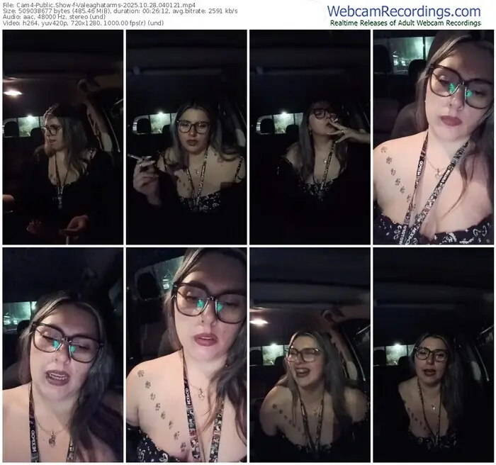 2025/10/28/cam4-valeaghatarms-04-01-21