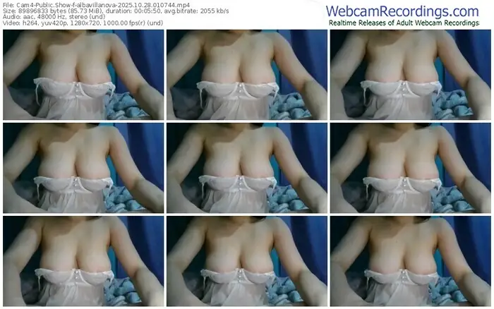 2025/10/28/cam4-albavillanova-01-07-44