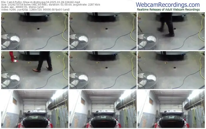2025/10/28/cam4-bigtoyguy34-22-44-42