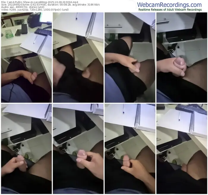 2025/10/28/cam4-leco88mg-01-00-34