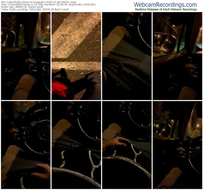 2025/10/28/cam4-lucapublic-00-05-11