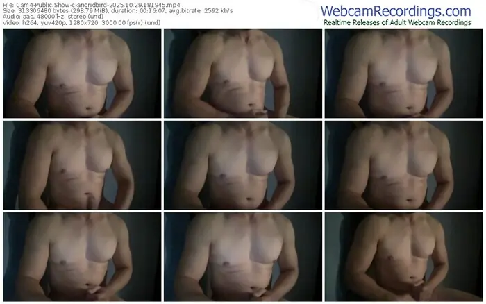 2025/10/29/cam4-angridbird-18-19-45