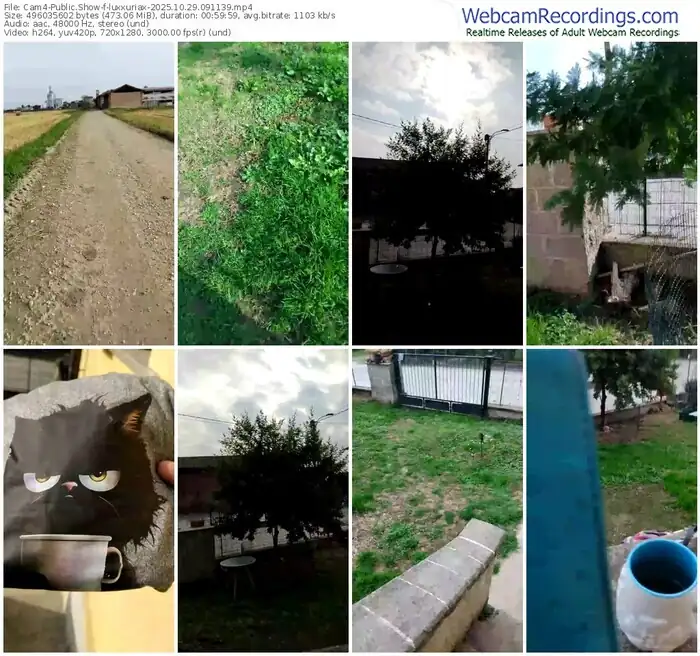 2025/10/29/cam4-luxxuriax-09-11-39