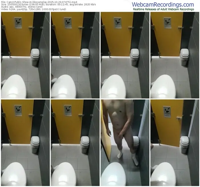 2025/10/29/cam4-likecamplay-07-47-51