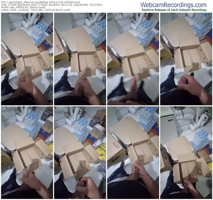 2025/10/30/cam4-leco88mg-19-00-54