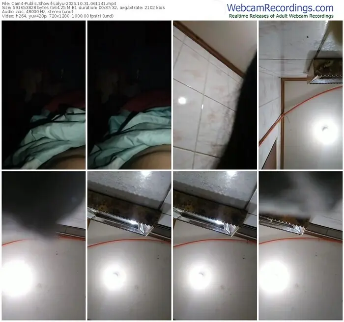 2025/10/31/cam4-lalyu-06-11-41