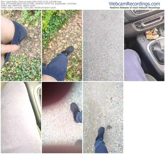 2025/10/31/cam4-ham2344-13-15-08