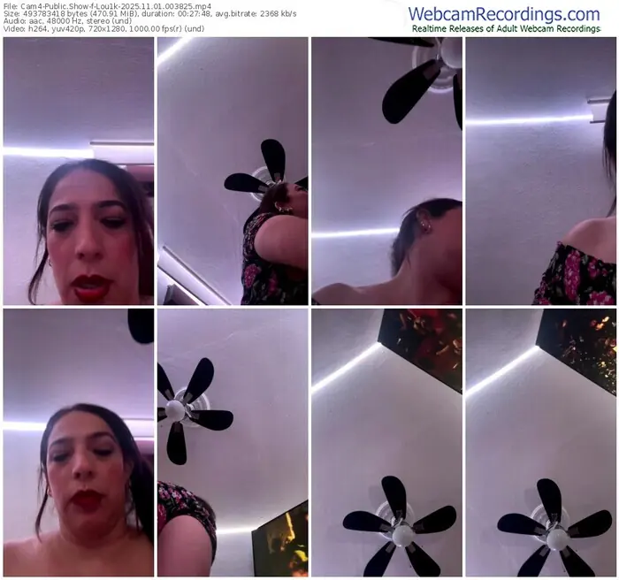 2025/11/01/cam4-lou1k-00-38-25