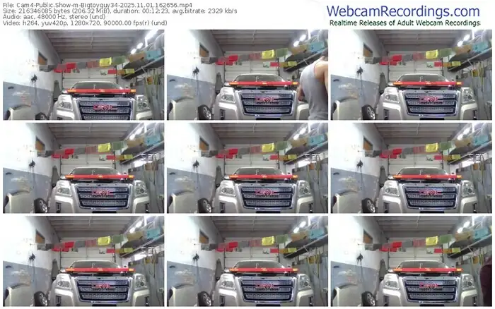 2025/11/01/cam4-bigtoyguy34-16-26-56