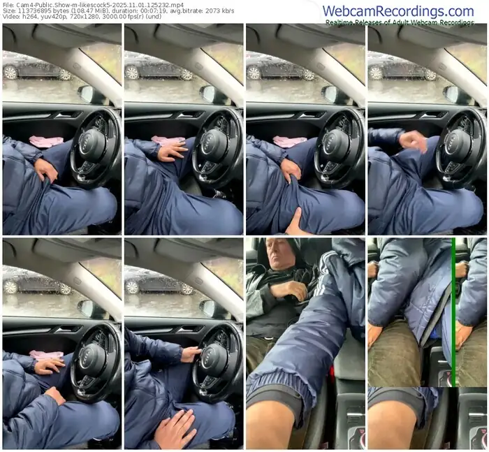 2025/11/01/cam4-likescock5-12-52-32