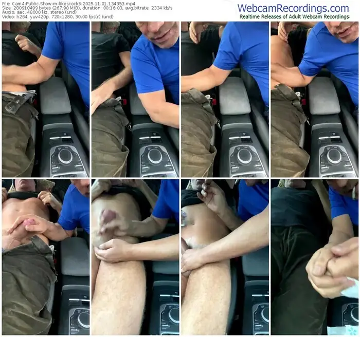 2025/11/01/cam4-likescock5-13-43-53