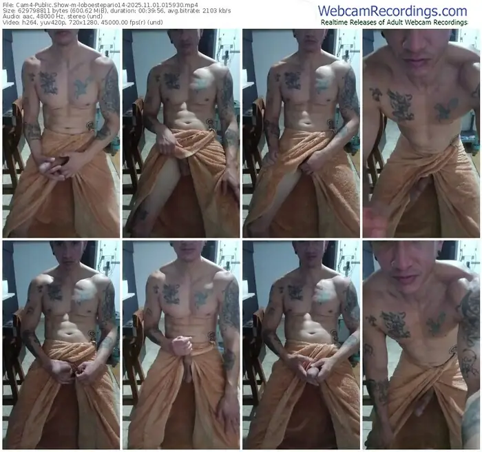 2025/11/01/cam4-loboestepario14-01-59-30