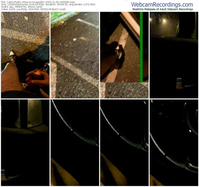 2025/11/01/cam4-lucapublic-02-59-08