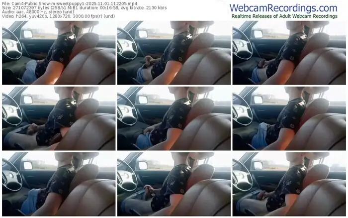 2025/11/01/cam4-sweetpuppy1-11-22-05