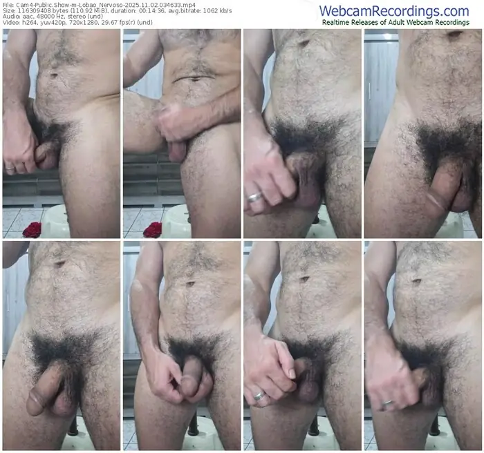 2025/11/02/cam4-lobao_nervoso-03-46-33