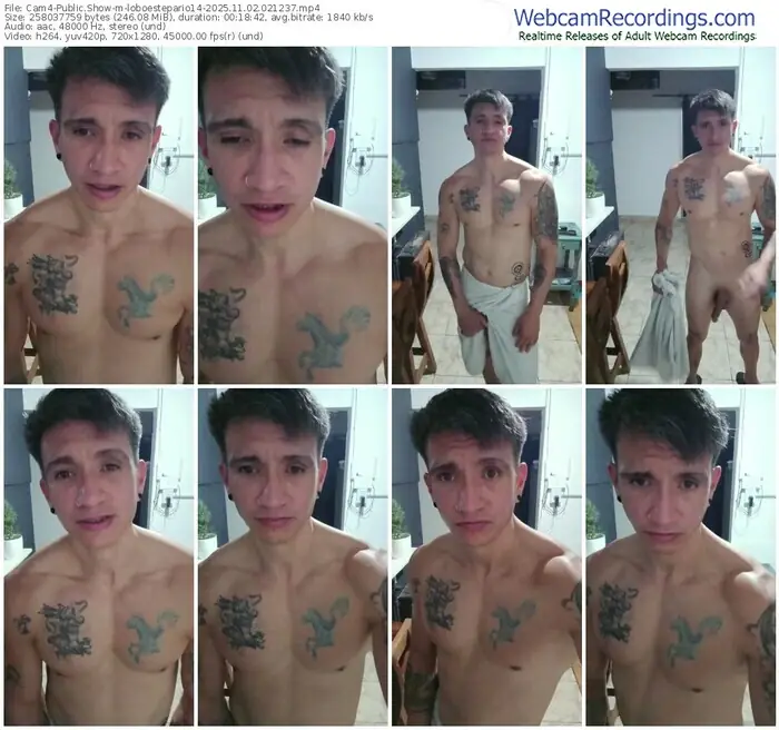 2025/11/02/cam4-loboestepario14-02-12-37