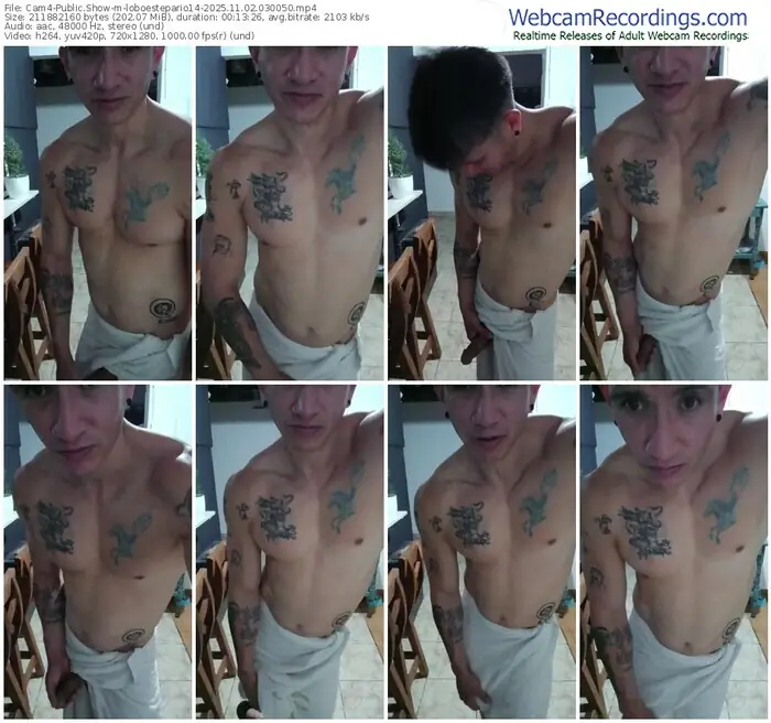 2025/11/02/cam4-loboestepario14-03-00-50